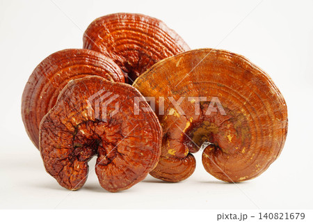 Lingzhi or Reishi mushroom with capsules, organic natural healthy food. 140821679