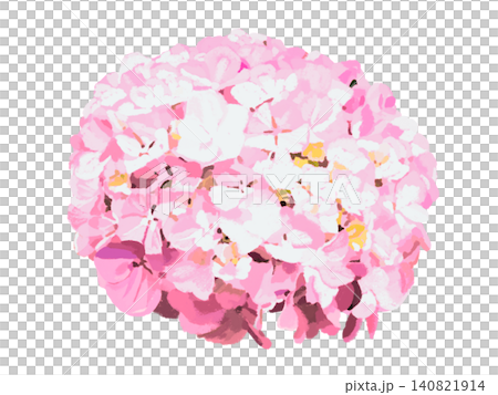 Hydrangea flowers (pink) Hydrangea flowers (pink) 140821914