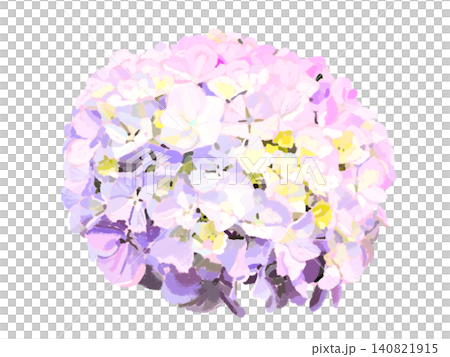 Hydrangea flowers (purple) 140821915