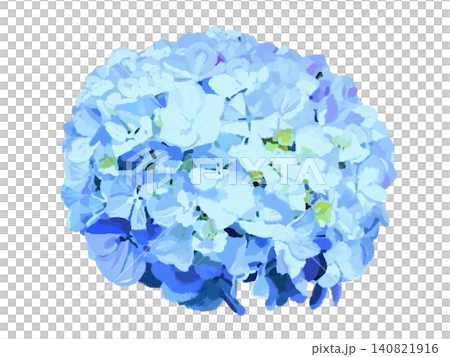Hydrangea flowers (blue) Hydrangea flowers (blue) 140821916