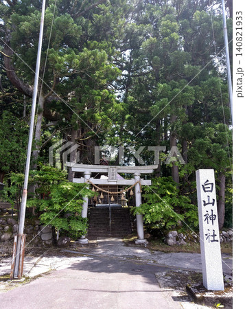 新潟県上越市虫川の大杉が鎮座する白山神社 新潟県上越市虫川の大杉が鎮座する白山神社 140821933