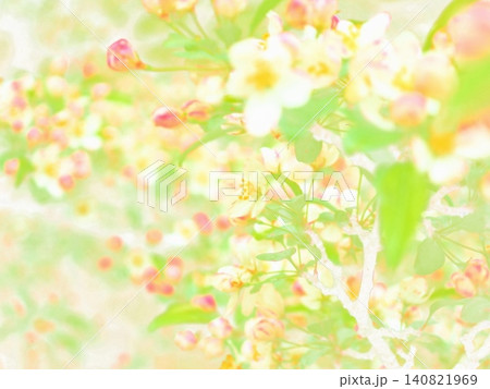 ズミの花と蕾(afw2 20260528072158) ズミの花と蕾(afw2 20260528072158) 140821969