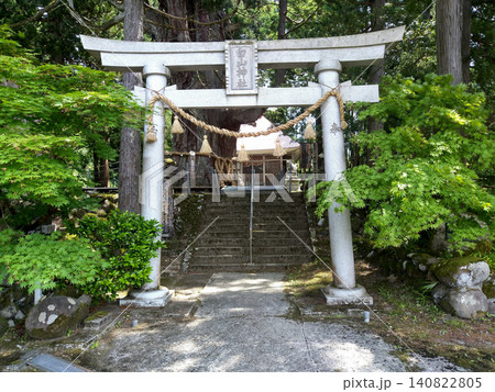 新潟県上越市虫川の大杉が鎮座する白山神社 新潟県上越市虫川の大杉が鎮座する白山神社 140822805