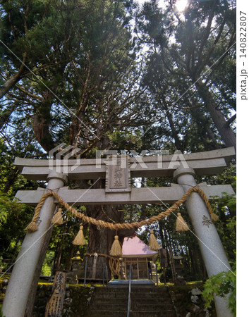 新潟県上越市虫川の大杉が鎮座する白山神社 新潟県上越市虫川の大杉が鎮座する白山神社 140822807