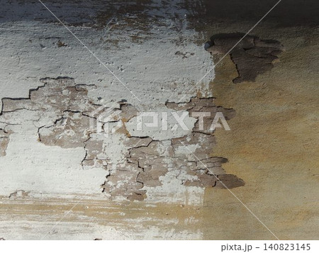texture of the bark of an old tree. The gray-beige trunk reveals deep cracks and the characteristic peeling of the protective layer, revealing smooth, brown young wood underneath texture of the bark of an old tree. The gray-beige trunk reveals deep cracks and the characteristic peeling of the protective layer, revealing smooth, brown young wood underneath 140823145