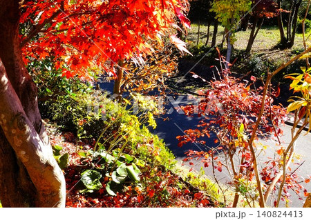 【神奈川県】紅葉のある風景 140824413