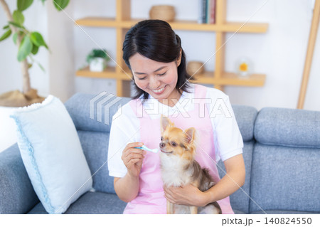 ペットシッター　歯磨き　チワワの歯磨きをするペットシッター 140824550