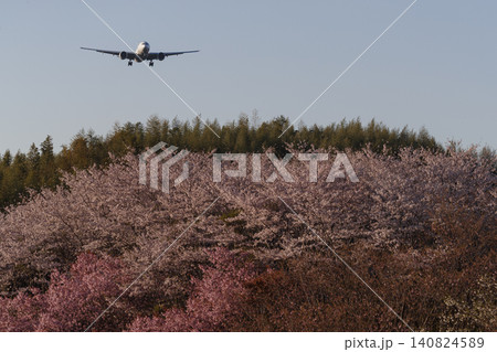 桜と飛行機 桜と飛行機 140824589