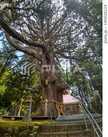 新潟県上越市虫川の大杉が鎮座する白山神社 新潟県上越市虫川の大杉が鎮座する白山神社 140826224