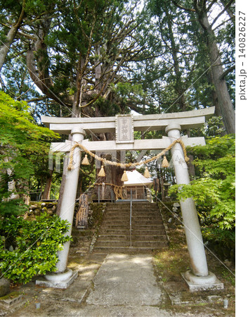 新潟県上越市虫川の大杉が鎮座する白山神社 新潟県上越市虫川の大杉が鎮座する白山神社 140826227