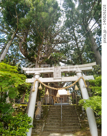 新潟県上越市虫川の大杉が鎮座する白山神社 新潟県上越市虫川の大杉が鎮座する白山神社 140826228