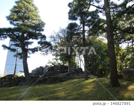 東京都の日比谷公園の癒される風景 東京都の日比谷公園の癒される風景 140827891