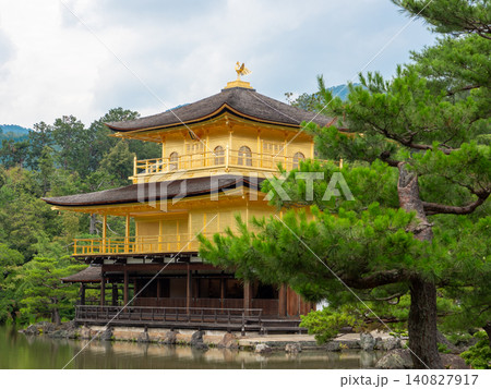 初夏の金閣寺の美しい風景 140827917