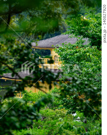 初夏の金閣寺の美しい風景 初夏の金閣寺の美しい風景 140827920