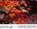 ライトアップされた真っ赤な紅葉 140828040