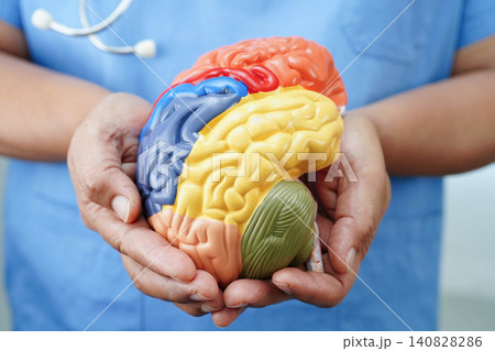 Alzheimer disease, Asian doctor holding brain anatomy model for study diagnosis and treatment in hospital. 140828286