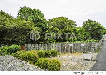 大鐘家(静岡県牧之原市)あじさい・酔芙蓉庭園 大鐘家(静岡県牧之原市)あじさい・酔芙蓉庭園 140828463