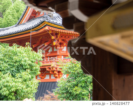 初夏の仁和寺にて 初夏の仁和寺にて 140828477