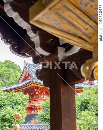 初夏の仁和寺にて 140828478