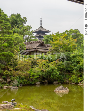初夏の仁和寺にて 初夏の仁和寺にて 140828485