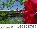 ハイビスカスと沖縄の小屋と池 140828765