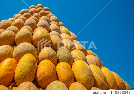 Rows of fresh ripe yellow melons stacked in pyramid display at traditional Tajik outdoor harvest festival bazaar Rows of fresh ripe yellow melons stacked in pyramid display at traditional Tajik outdoor harvest festival bazaar 140828848