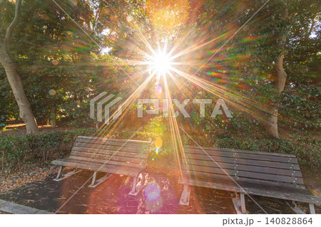 冬の力強い太陽光が差し込む皇居東御苑のベンチと木々 2023年12月 冬の力強い太陽光が差し込む皇居東御苑のベンチと木々 2023年12月 140828864