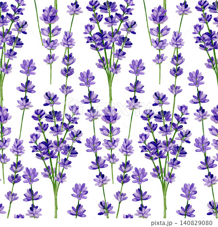 Watercolor lavender on white background. Seamless floral pattern-288. Watercolor lavender on white background. Seamless floral pattern-288. 140829080