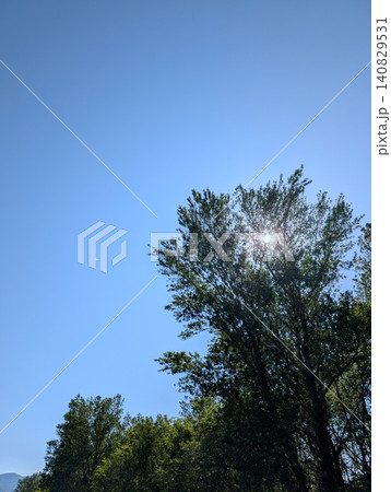 木の上から見た青空 木の上から見た青空 140829531