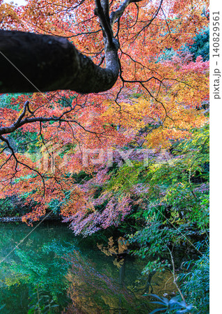 宝池の水面に映り込む美しい逆さ紅葉 kyoto temple 宝池の水面に映り込む美しい逆さ紅葉 kyoto temple 140829561