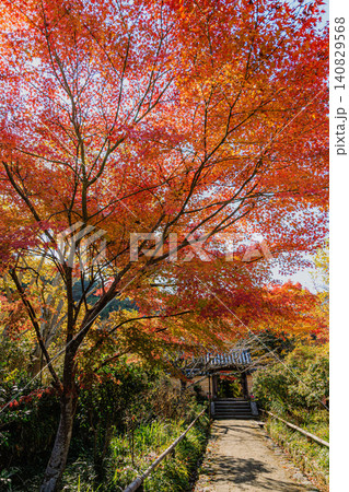 見事な紅葉の木々と歴史ある山門が織りなす京都・浄瑠璃寺の秋景色 140829568
