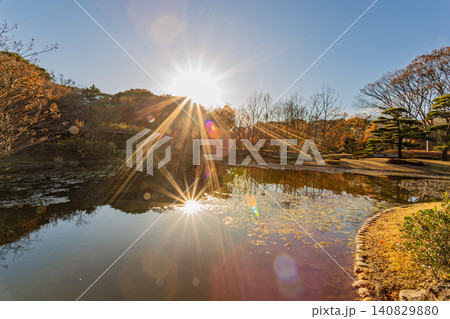 皇居東御苑の池に美しくきらめく太陽の光条と穏やかな冬の日の庭園風景 2023年12月 皇居東御苑の池に美しくきらめく太陽の光条と穏やかな冬の日の庭園風景 2023年12月 140829880