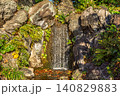 美しい岩肌を白く流れ落ちる皇居東御苑・二の丸庭園の滝のクローズアップ 2023年12月 140829883