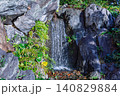 厳かな岩組の間をさらさらと流れ落ちる二の丸庭園の滝と冬の木漏れ日 2023年12月 140829884