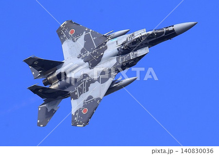 F-15戦闘機(アグレッサー部隊) F-15戦闘機(アグレッサー部隊) 140830036