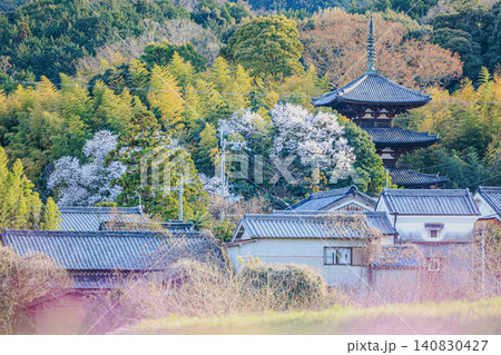 春爛漫の當麻寺境内に佇む厳かな三重塔と美しく咲き誇る桜 春爛漫の當麻寺境内に佇む厳かな三重塔と美しく咲き誇る桜 140830427