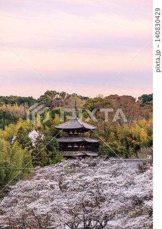 奈良の伝統美が息づく當麻寺の三重塔と薄紅色の桜景色 140830429