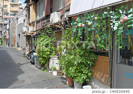 軒先を彩る夏の装い 谷根千の路地裏に広がる瑞々しい緑と古民家の日常風景 軒先を彩る夏の装い 谷根千の路地裏に広がる瑞々しい緑と古民家の日常風景 140830840