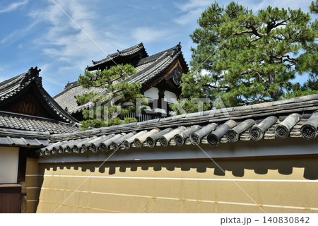 建仁寺　方丈と法堂の渡廊下から眺める本坊入口と松(京都市東山区) 140830842