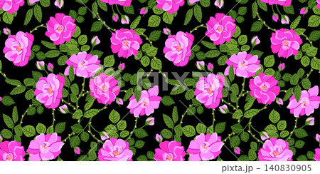Vector pattern with a branch of pink roses. A popular Victorian motif. A symbol of love and passion on a black background. Rose hips. Clipart for Valentine's Day, wedding, and Mother's Day cards. Vector pattern with a branch of pink roses. A popular Victorian motif. A symbol of love and passion on a black background. Rose hips. Clipart for Valentine's Day, wedding, and Mother's Day cards. 140830905