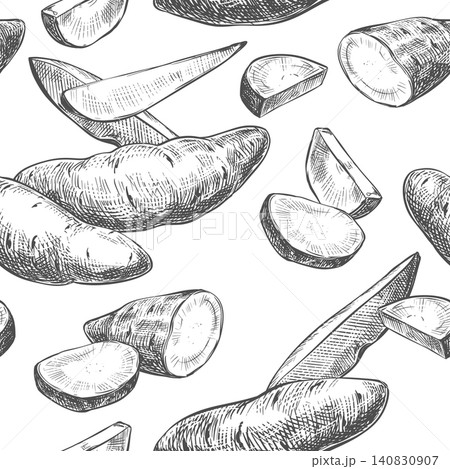 Sweet potato sketch. Vector seamless pattern, of a whole vegetable and a camote slice. Hand drawn illustration imitating an engraving. Line Ink outline drawing of a yam. Rustic style background 140830907