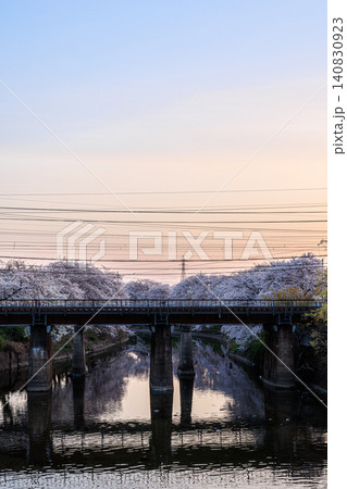 爽やかな早朝の光に包まれた川沿いのサクラと風情ある鉄橋 爽やかな早朝の光に包まれた川沿いのサクラと風情ある鉄橋 140830923
