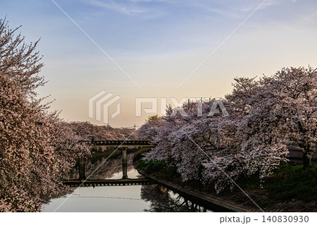 静かな里山の川辺に広がる満開の桜と美しい水鏡の世界 静かな里山の川辺に広がる満開の桜と美しい水鏡の世界 140830930