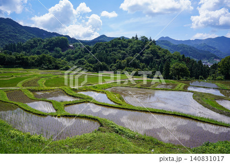 田植えの終わった寺坂棚田 田植えの終わった寺坂棚田 140831017