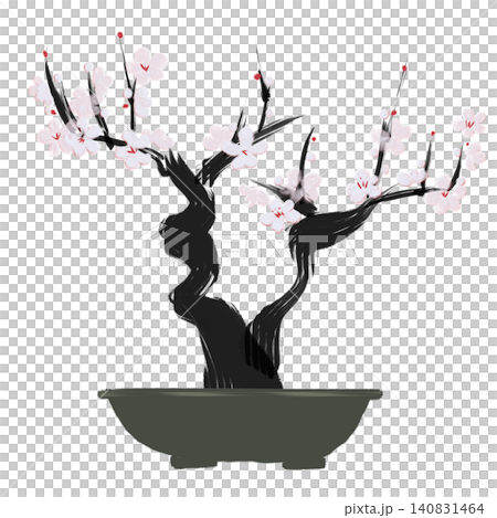 Plum blossoms painted with a brush - Bonsai - Snow Plum blossoms painted with a brush - Bonsai - Snow 140831464