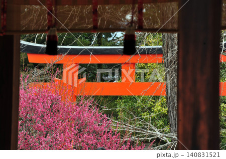 光琳梅の風景　下鴨神社 140831521