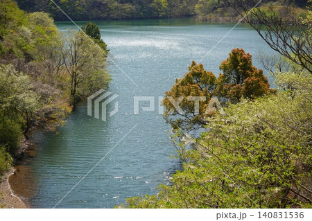 伊東市の水源 松川湖 奥野ダム 春 木々の新芽 伊東市の水源 松川湖 奥野ダム 春 木々の新芽 140831536