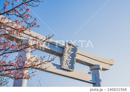 御前崎市の桜ヶ池公園の鳥居と梅の花の風景(静岡県) 御前崎市の桜ヶ池公園の鳥居と梅の花の風景(静岡県) 140831568