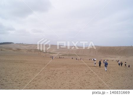 広大な砂丘地帯を歩む観光客たち 広大な砂丘地帯を歩む観光客たち 140831669
