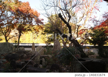 秋色に染まる庭園の古木と石造景観 秋色に染まる庭園の古木と石造景観 140831674